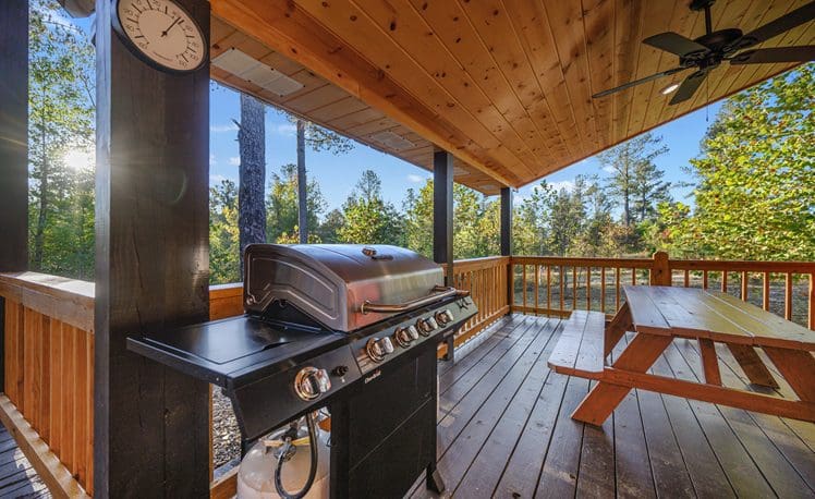 Gas Grill and Picnic Table on Covered Patio