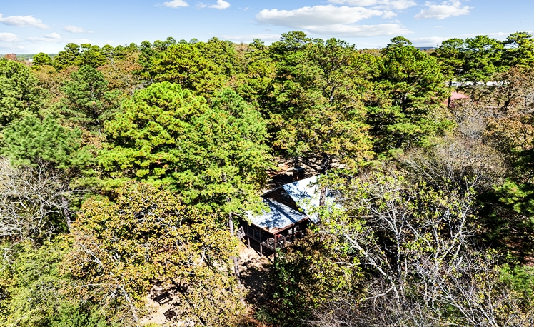 Aerial view of Peace on Earth