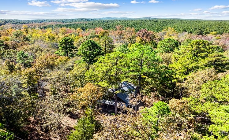 Aerial view of Peace on Earth