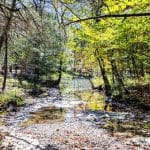 Creek behind cabin