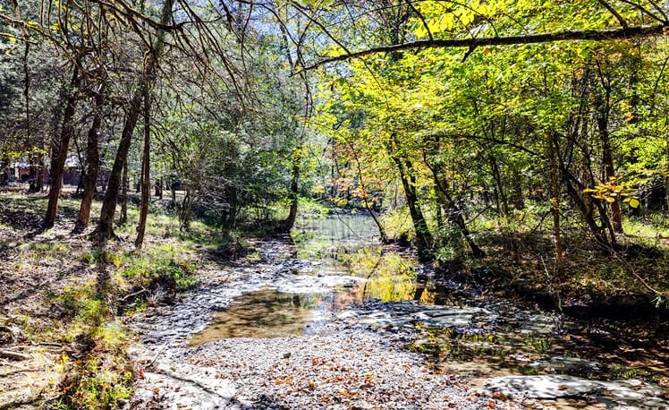 Creek behind cabin