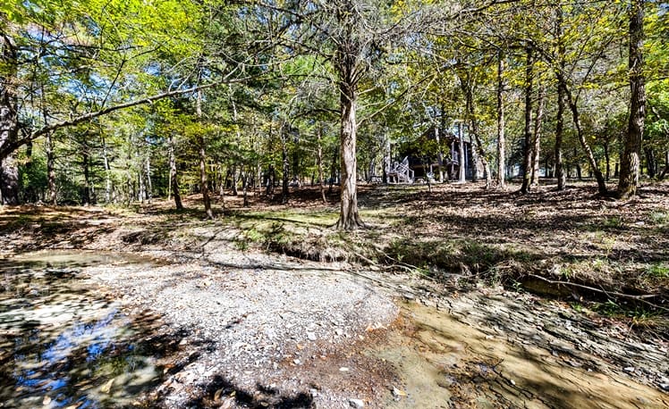 Cabin driveway