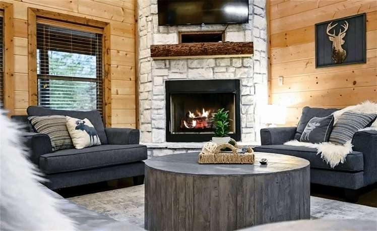 THL FIREPLACE