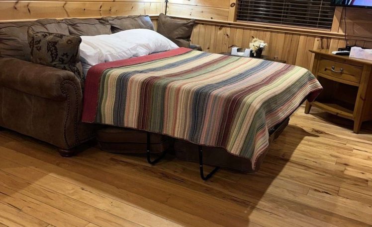 sleeper sofa