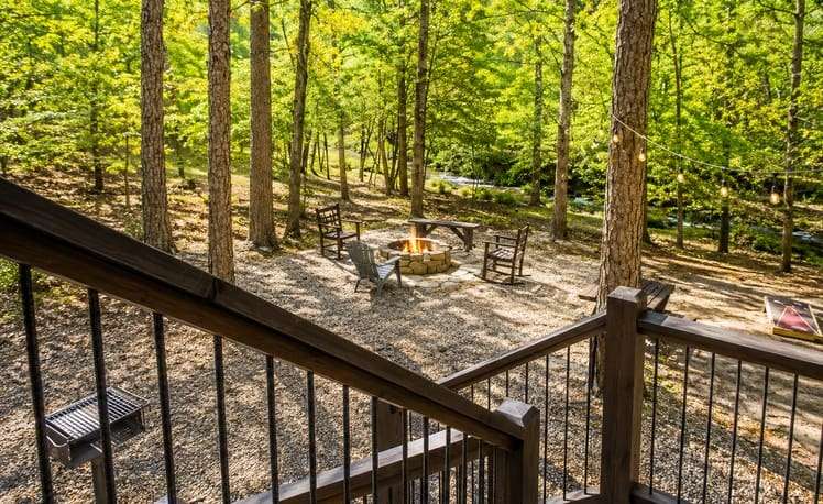 view of back yard