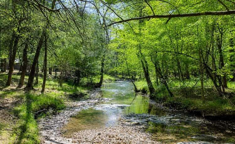 view of creek